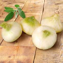 Cipolle Bianche da forno