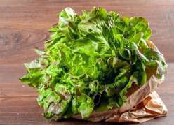 Insalata Canasta