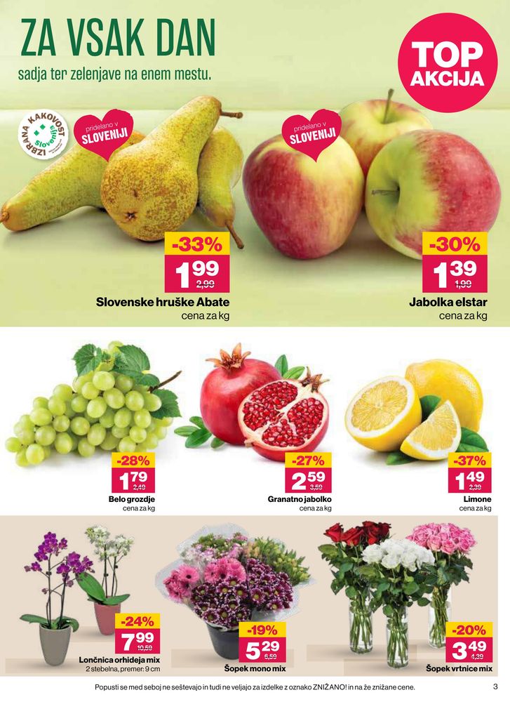 Mercator