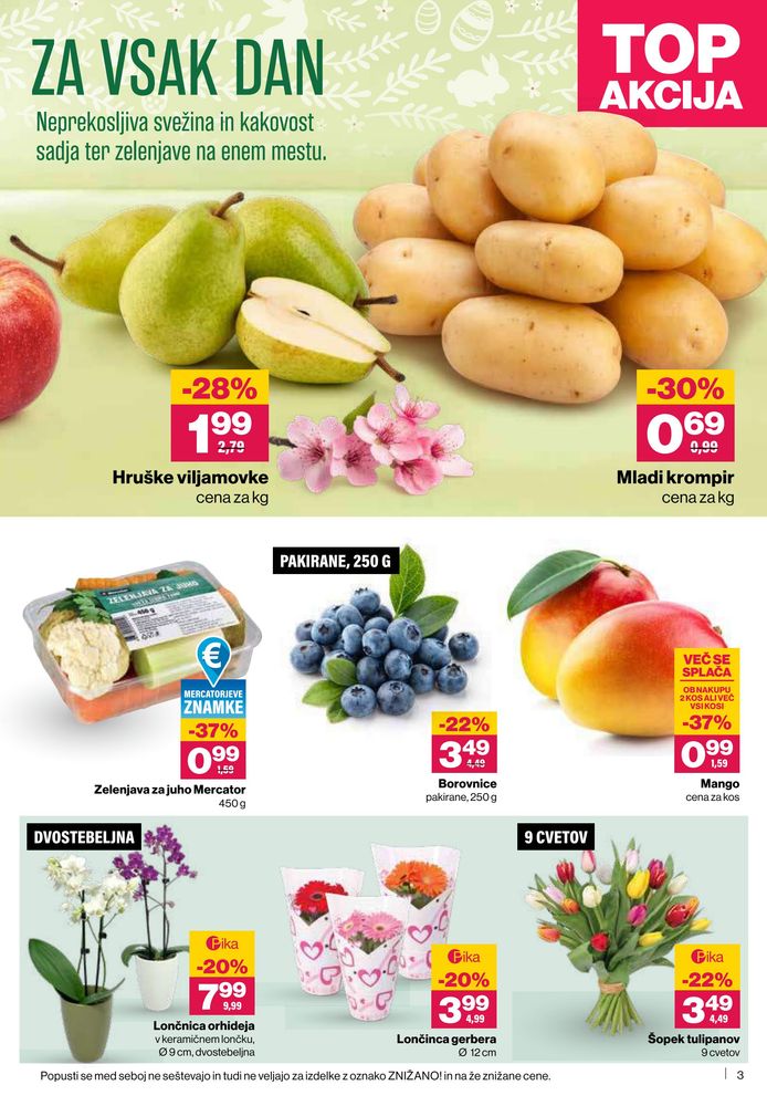 Mercator