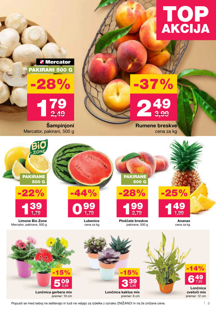 Mercator