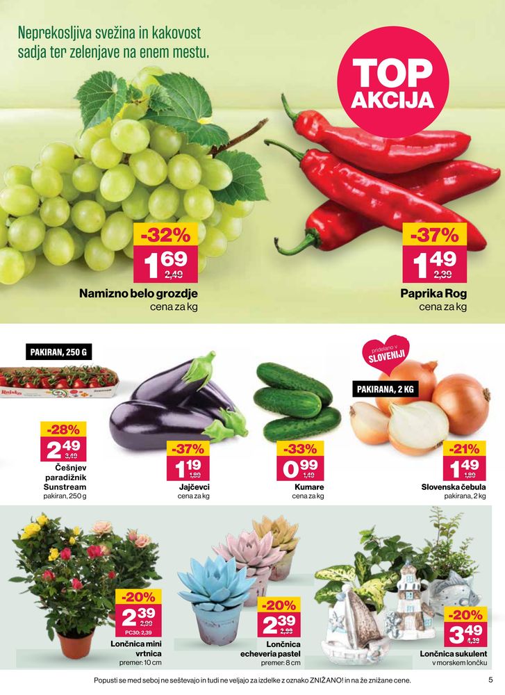 Mercator