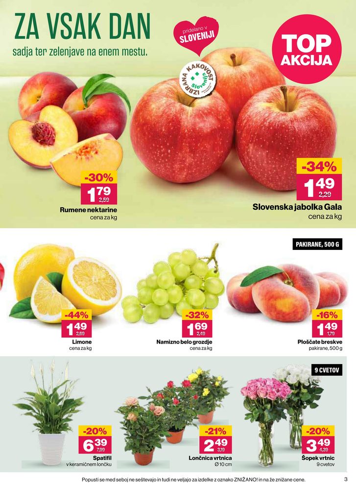 Mercator
