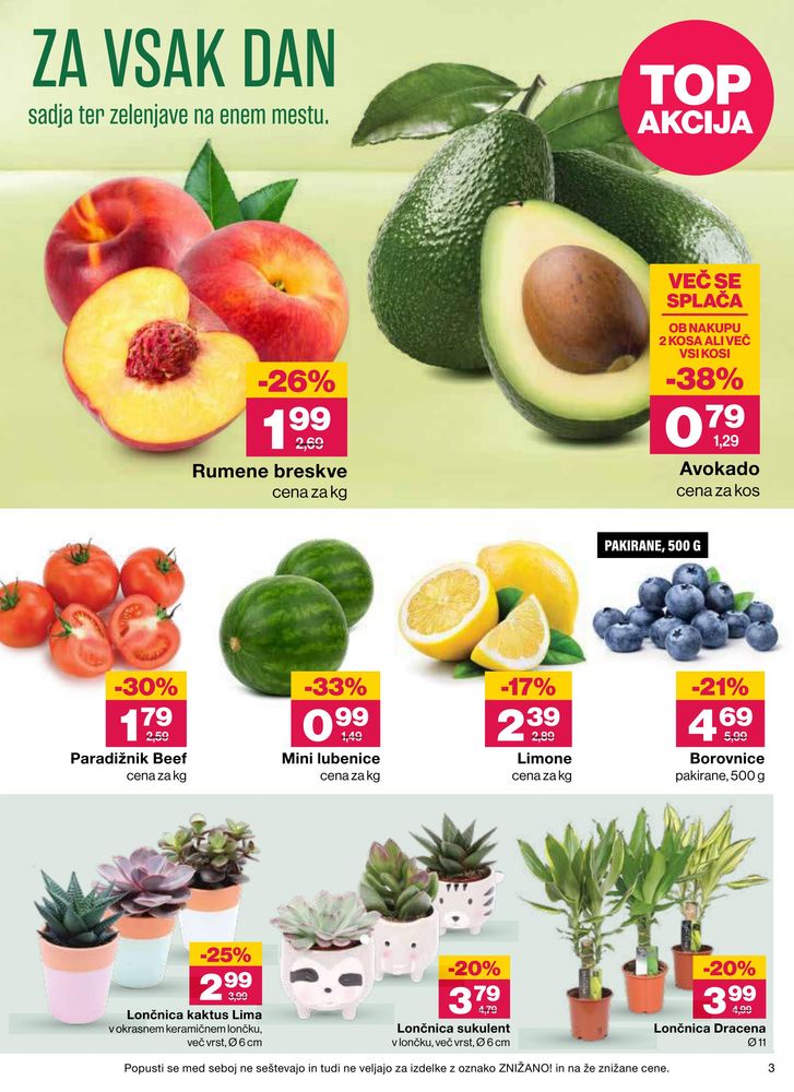 Mercator