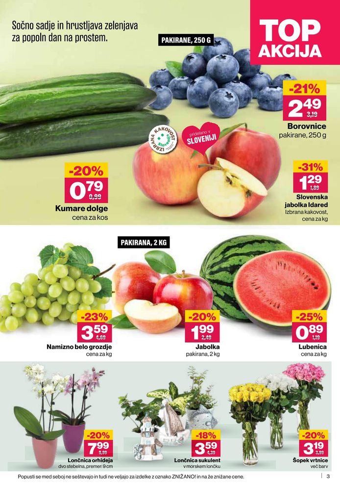 Mercator