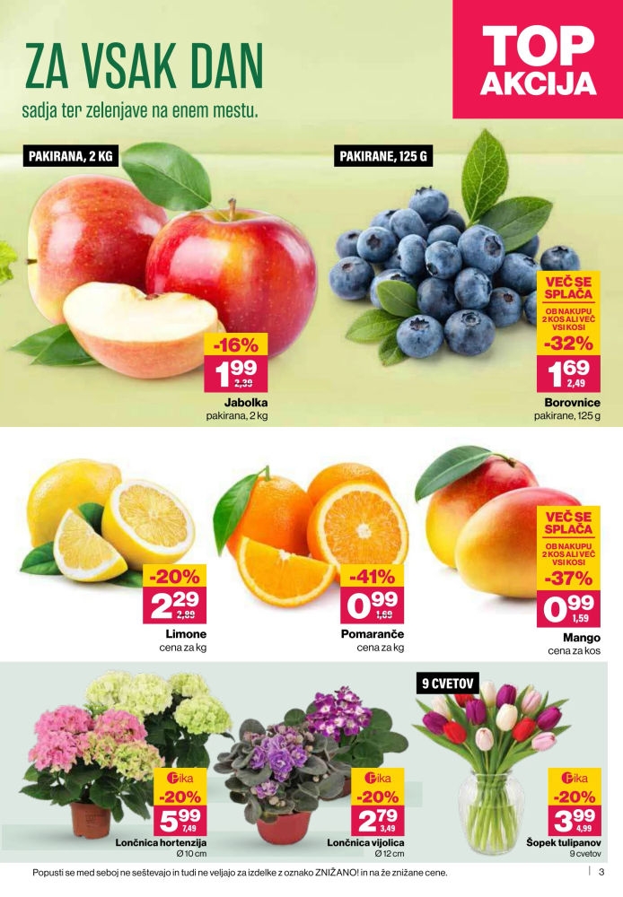 Mercator