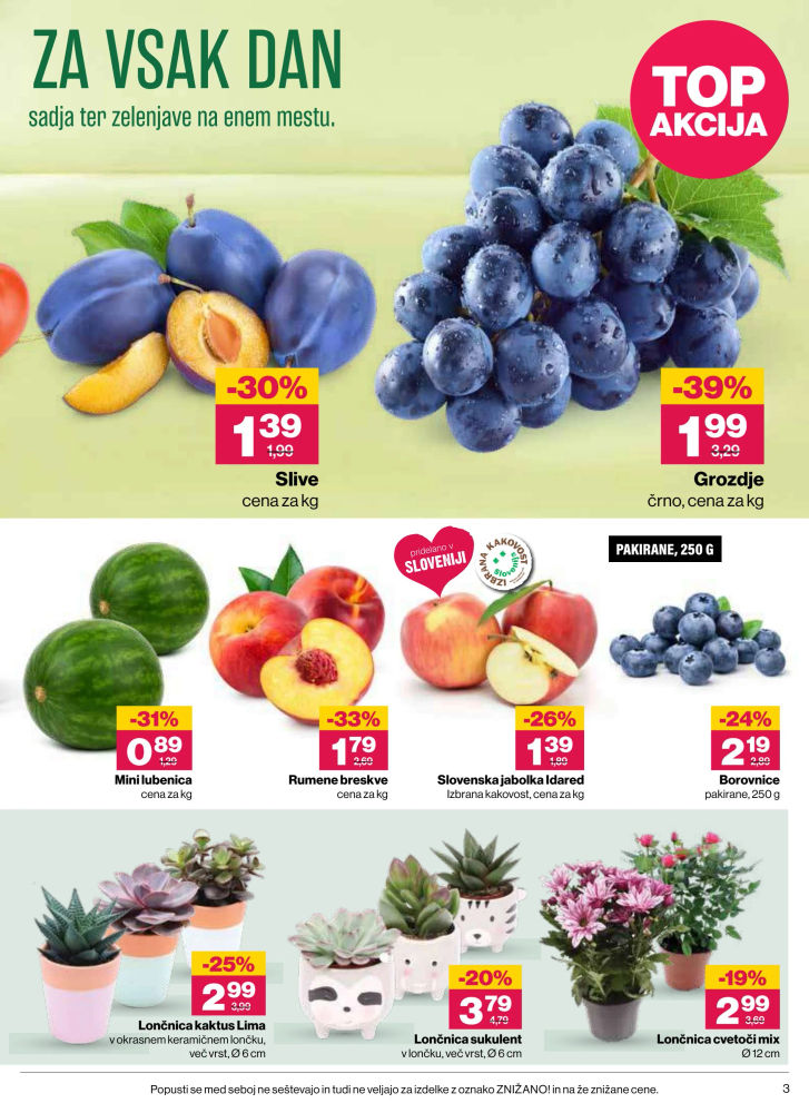 Mercator