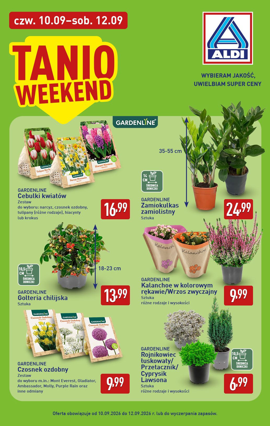 Aldi