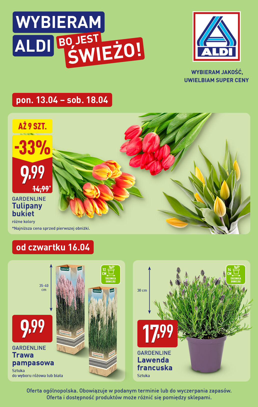 Aldi