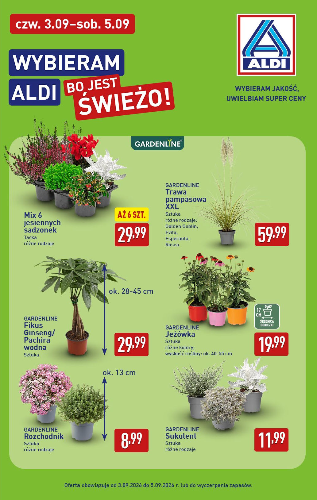 Aldi