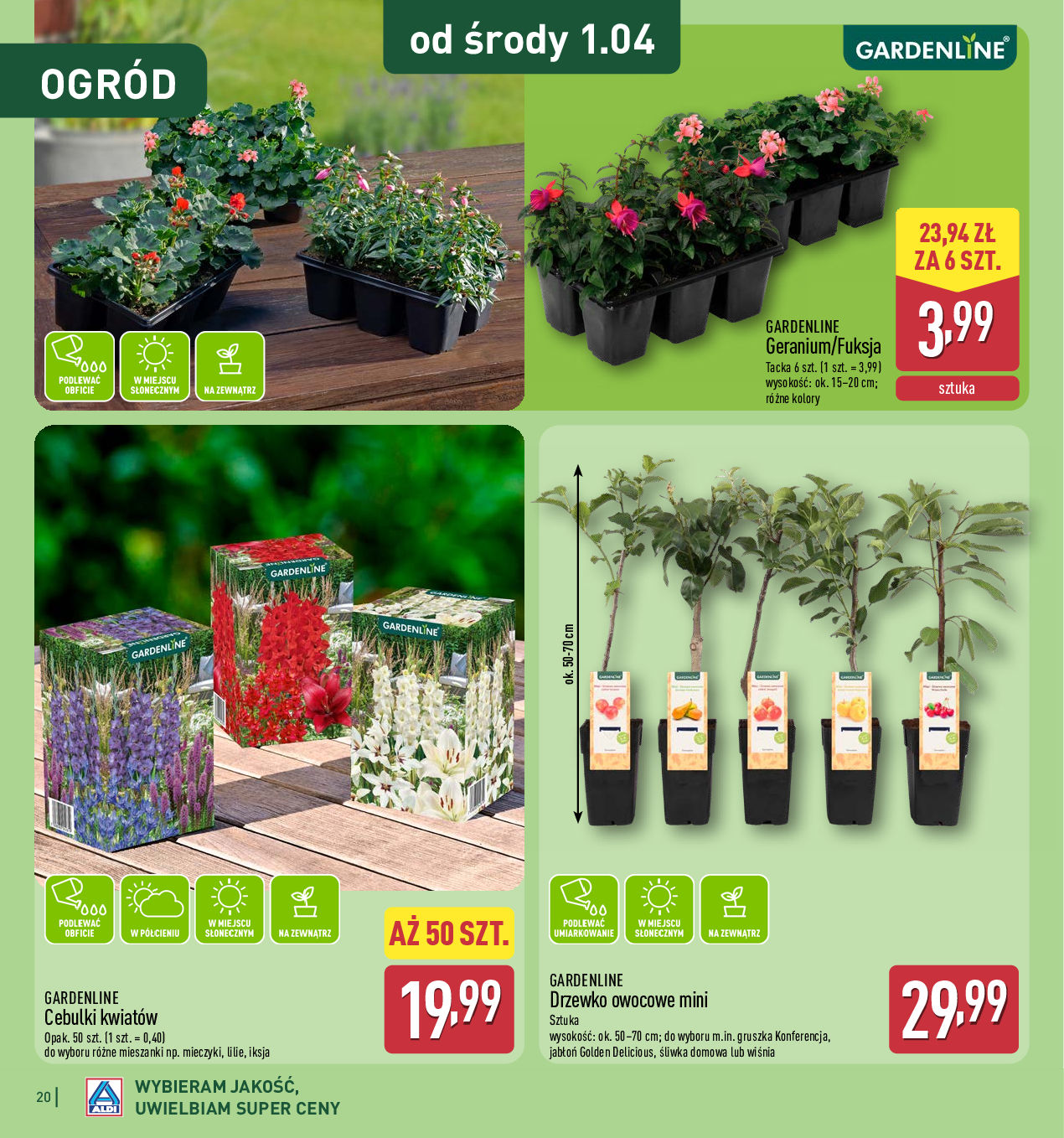 Aldi