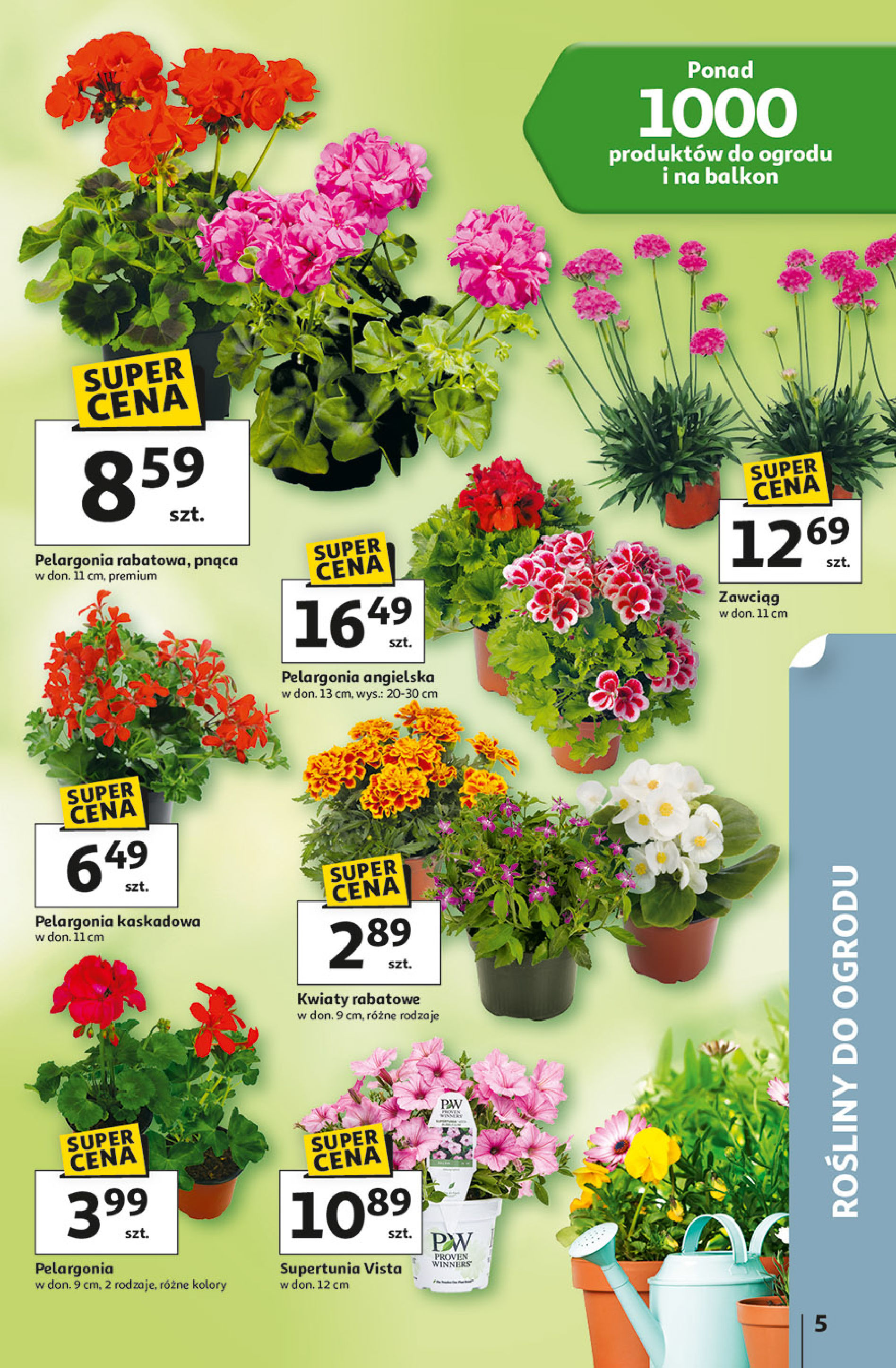 Auchan