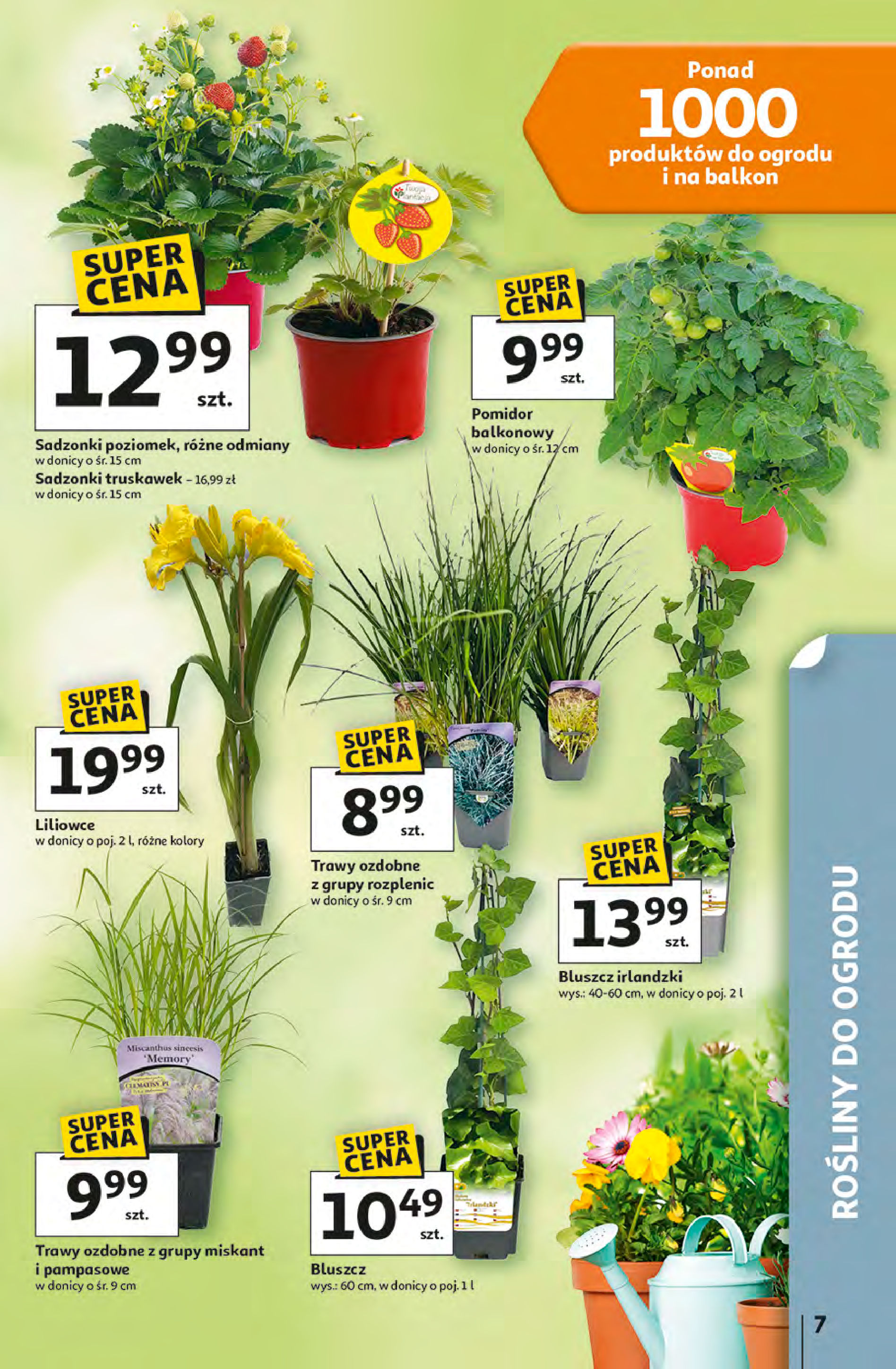 Auchan