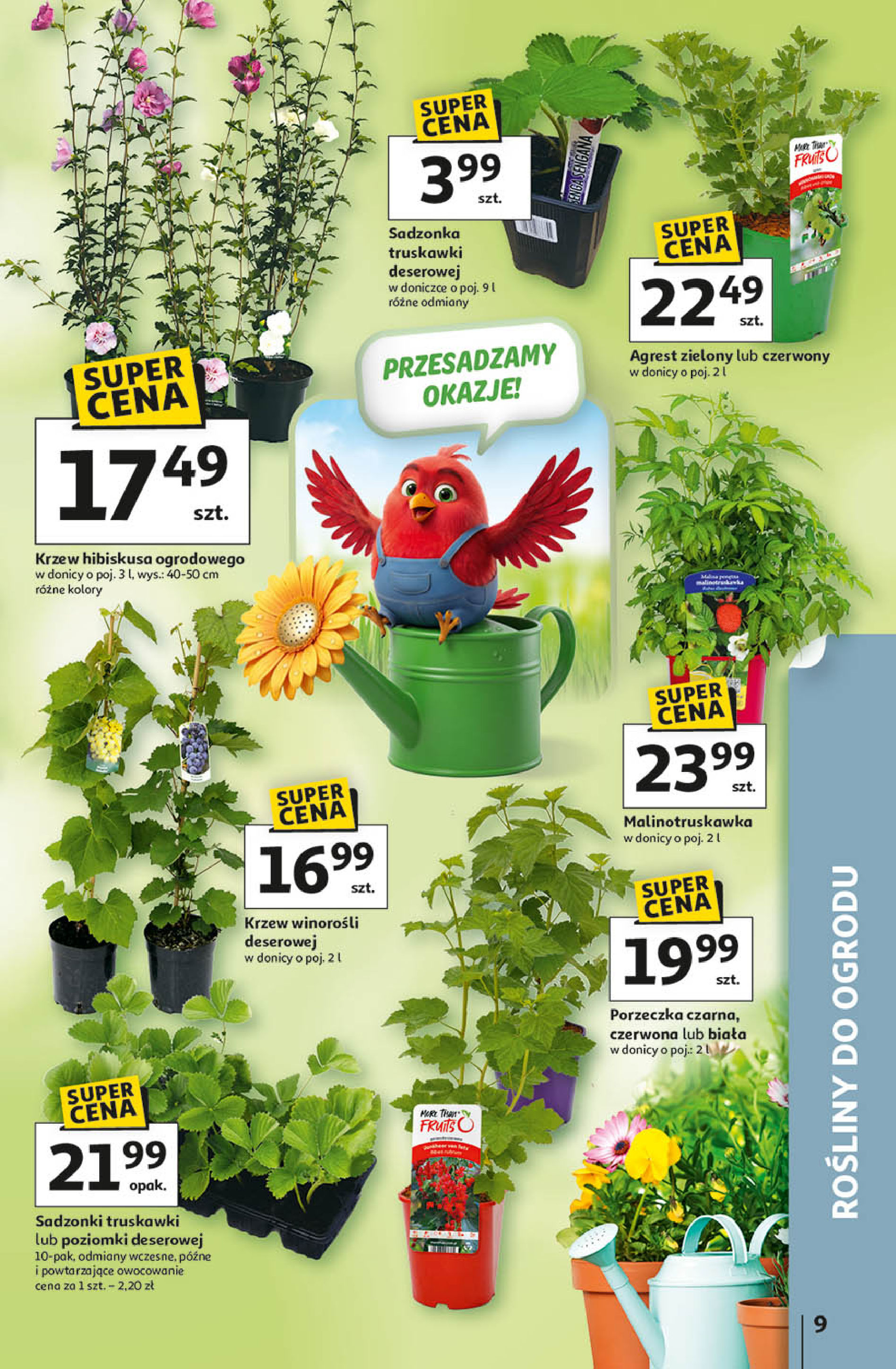 Auchan