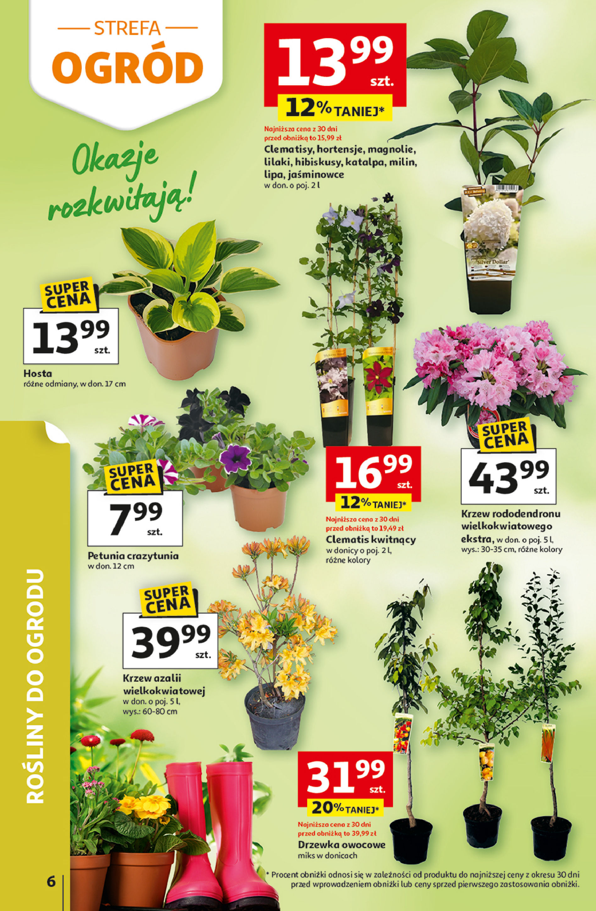 Auchan