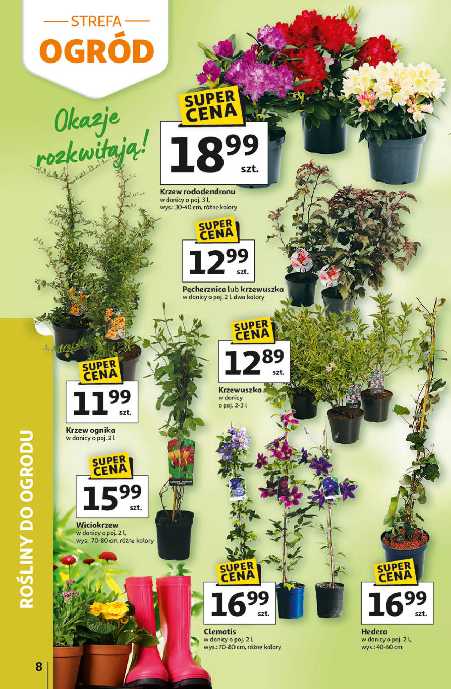 Auchan