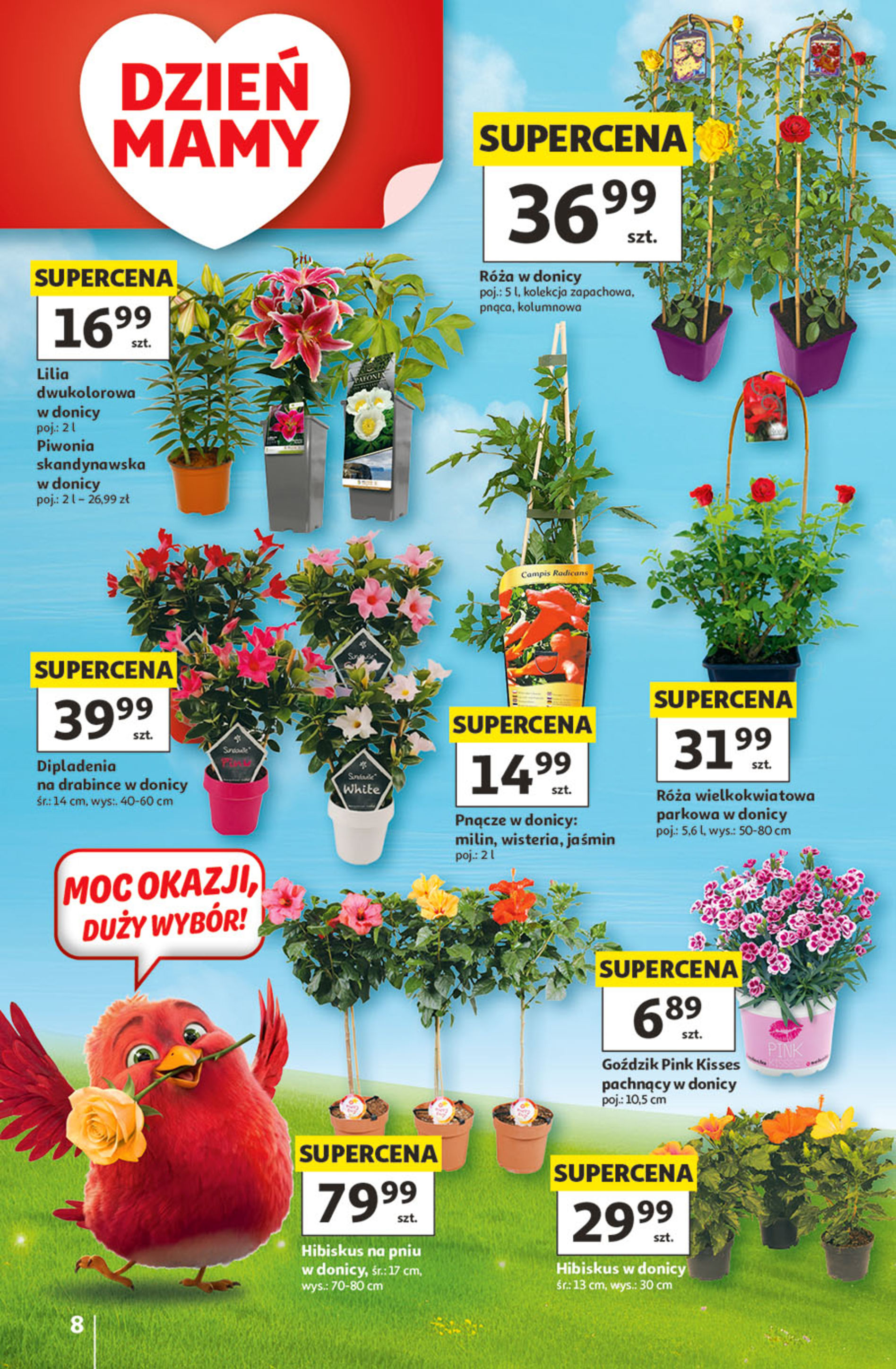 Auchan