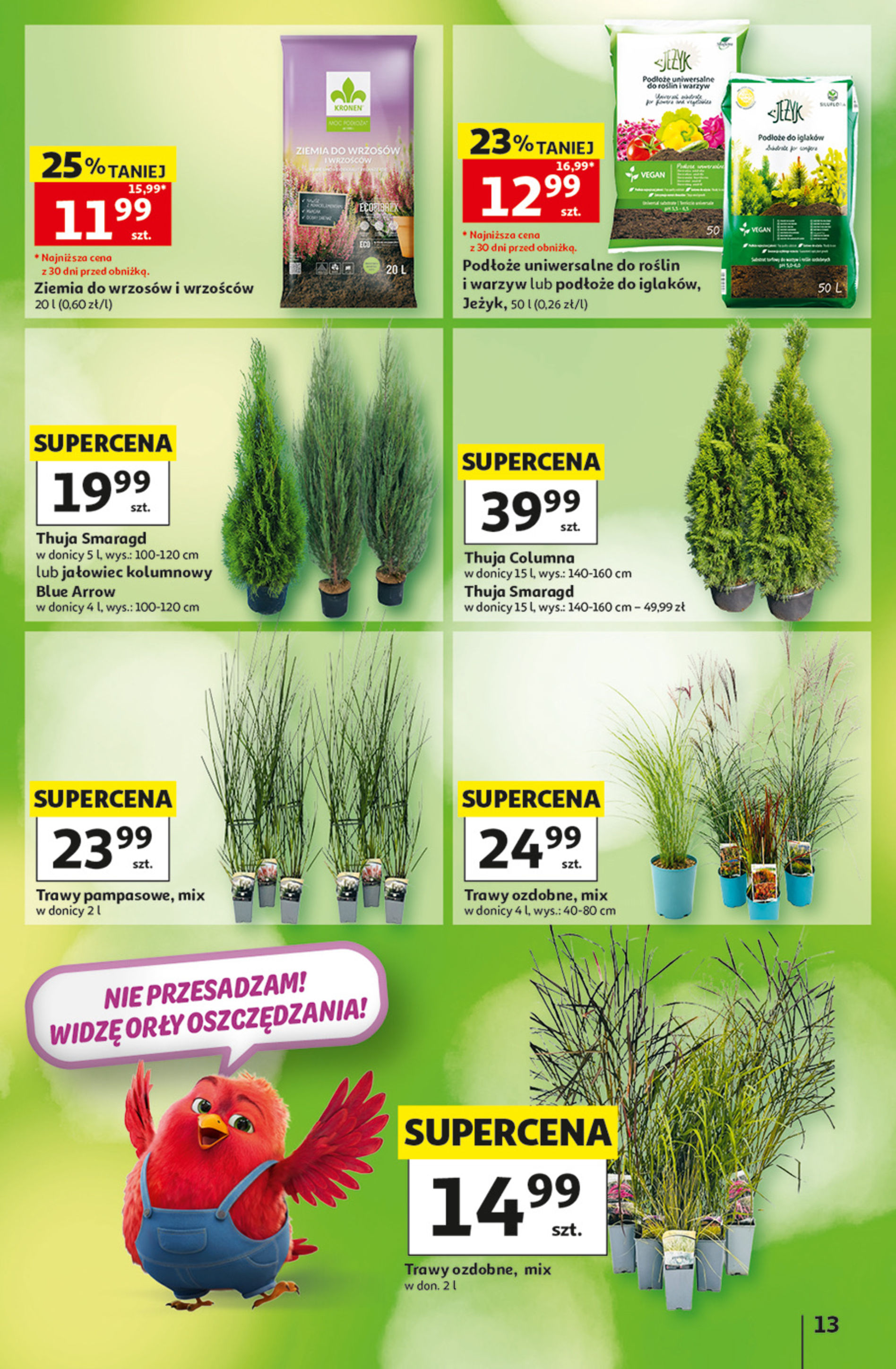 Auchan