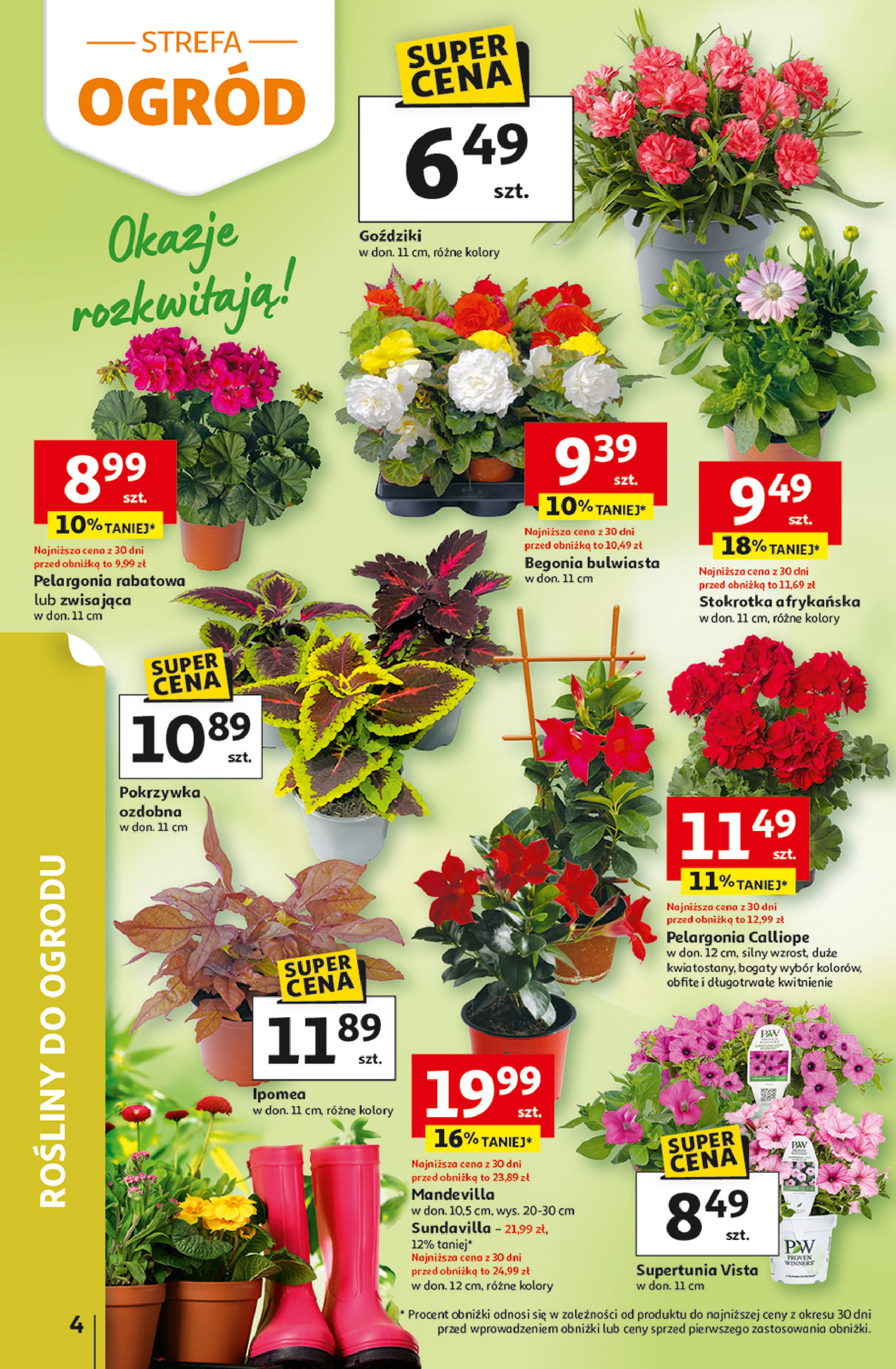 Auchan