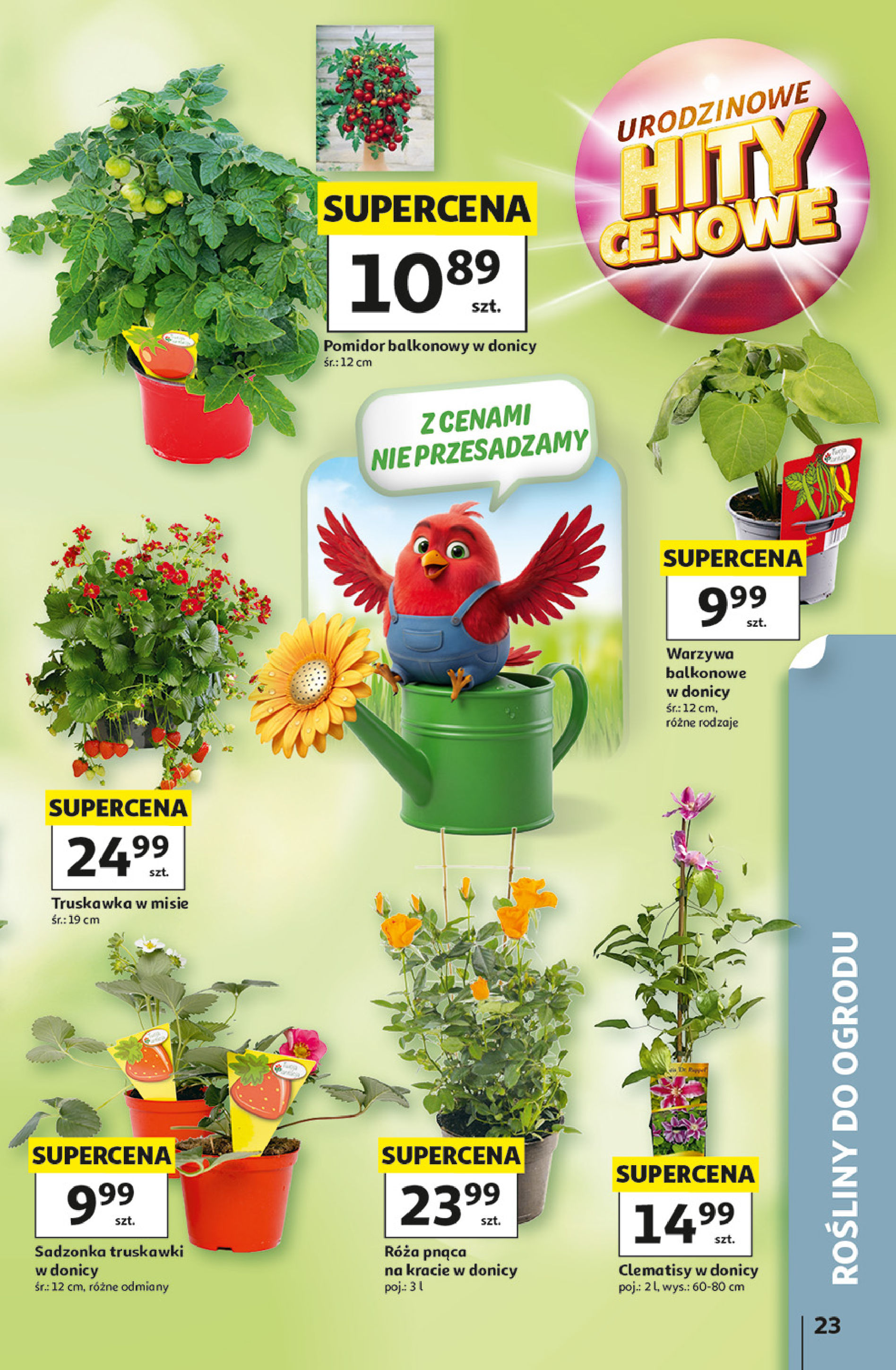 Auchan