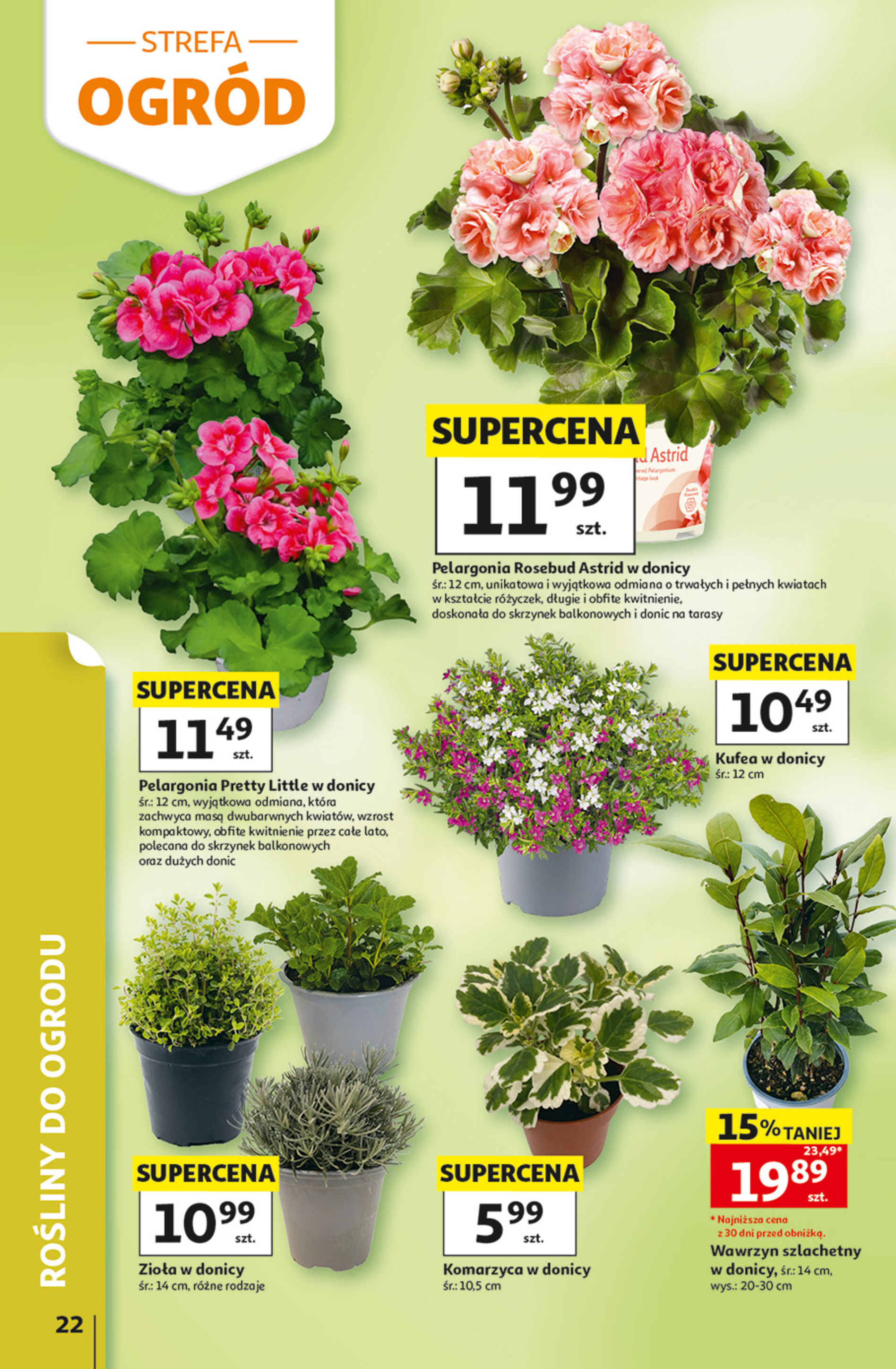 Auchan