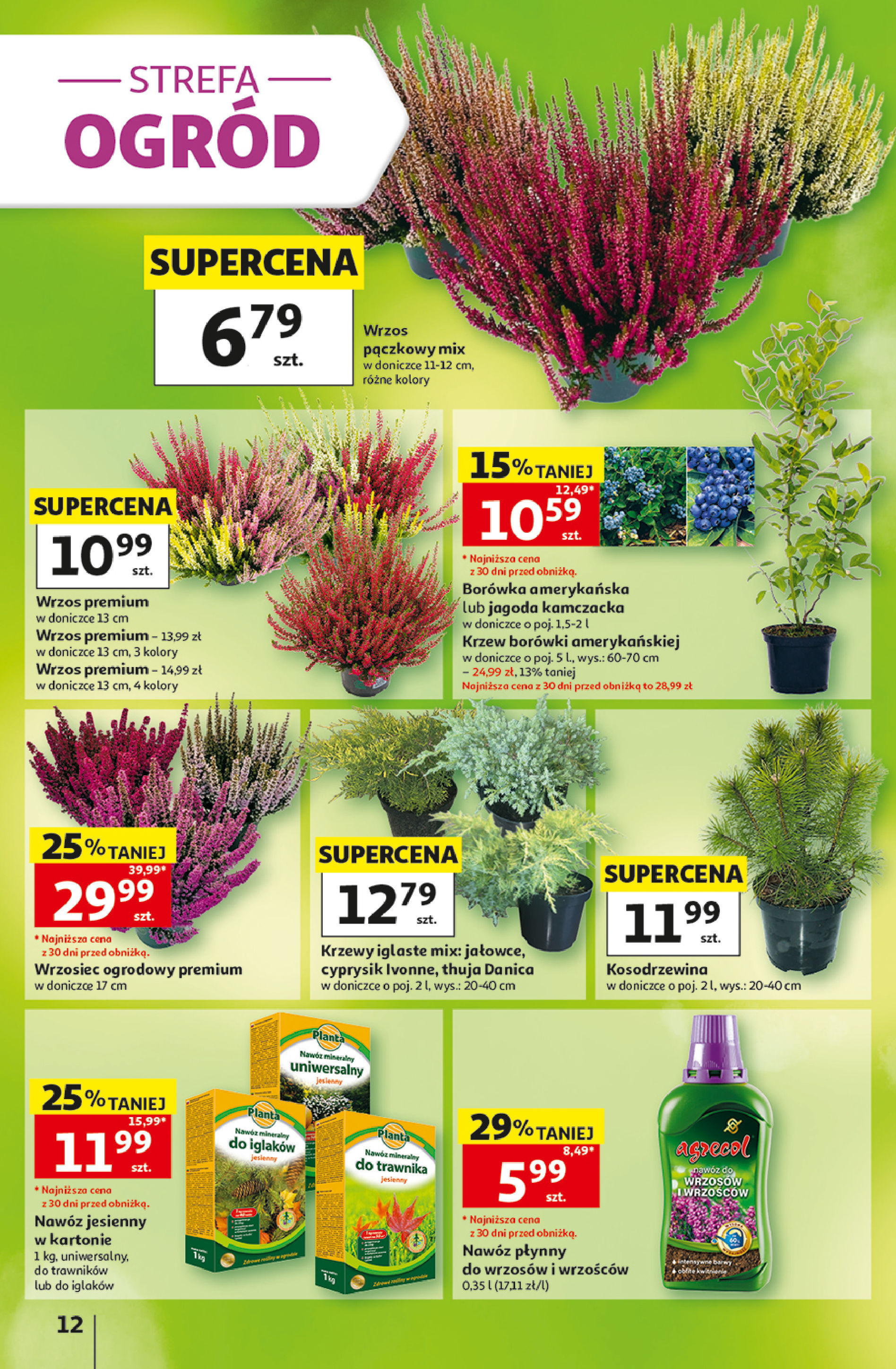 Auchan