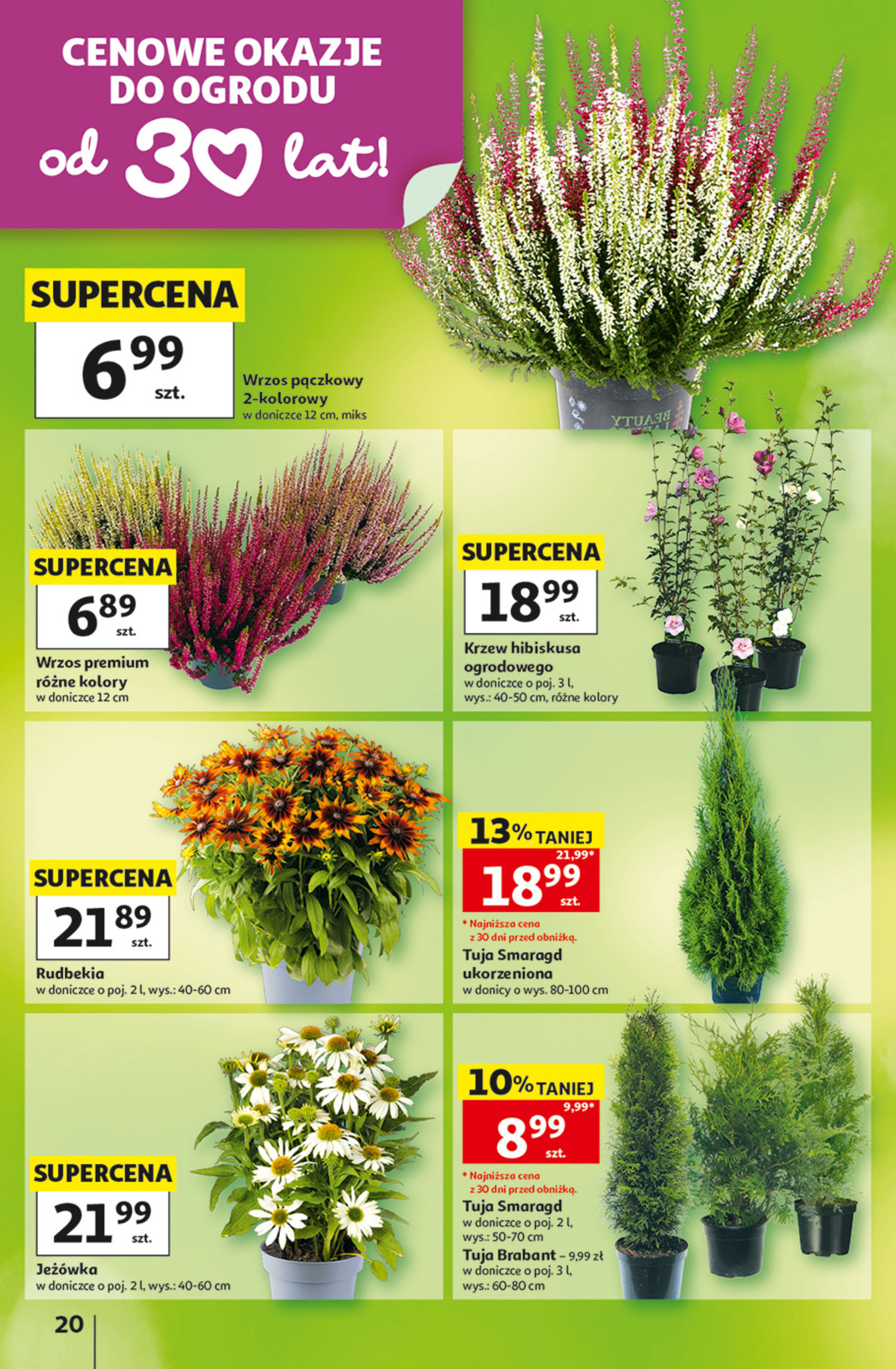 Auchan