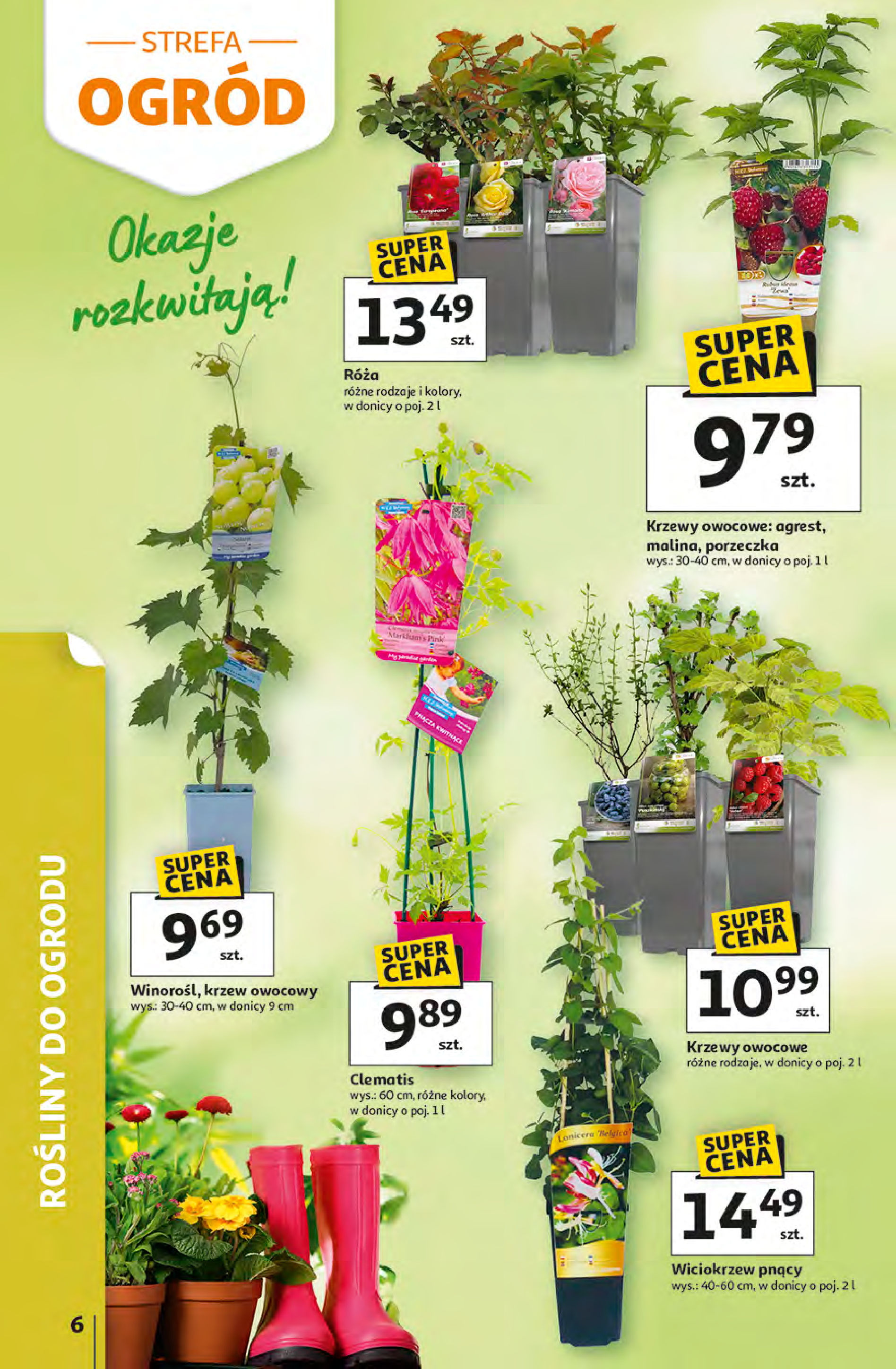 Auchan