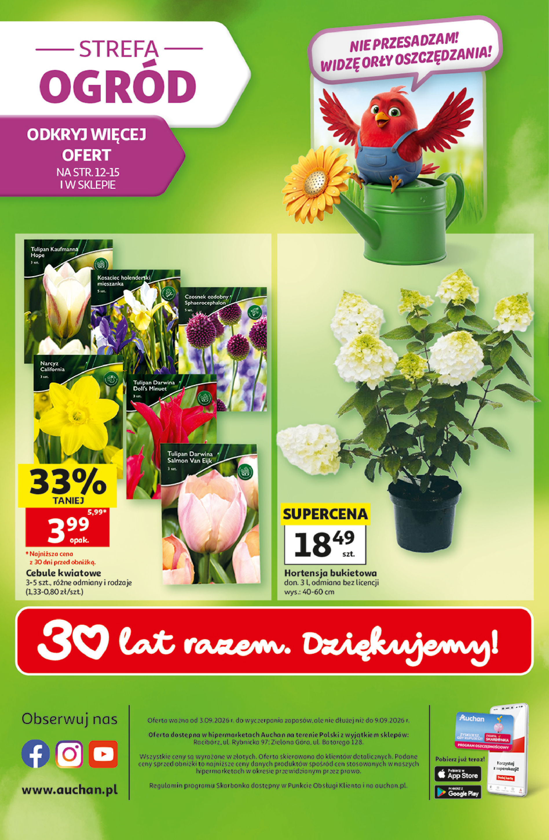 Auchan