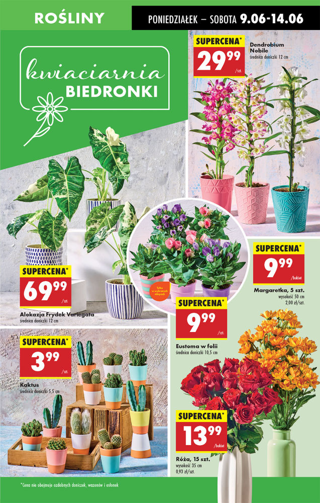 Biedronka