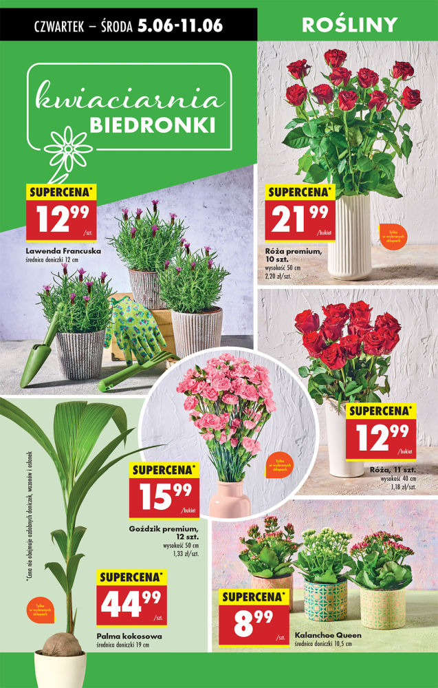 Biedronka