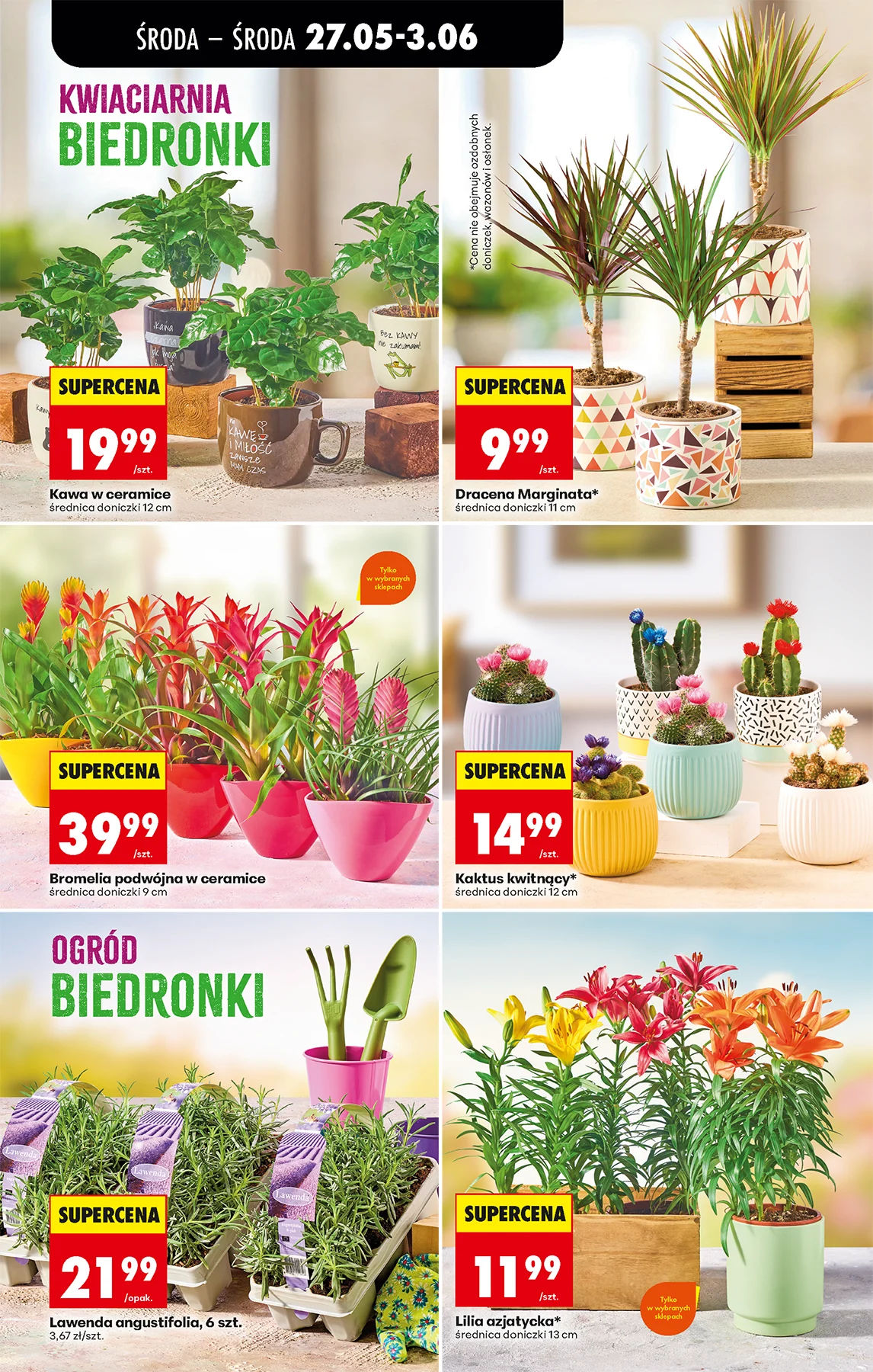 Biedronka