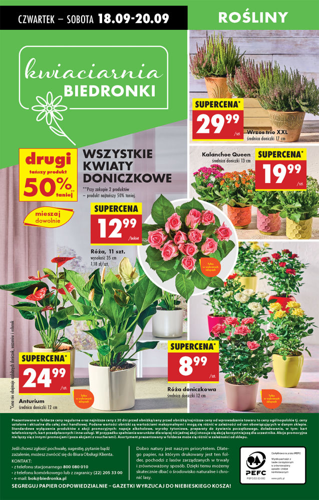 Biedronka