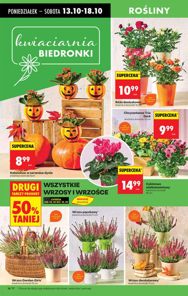 Biedronka