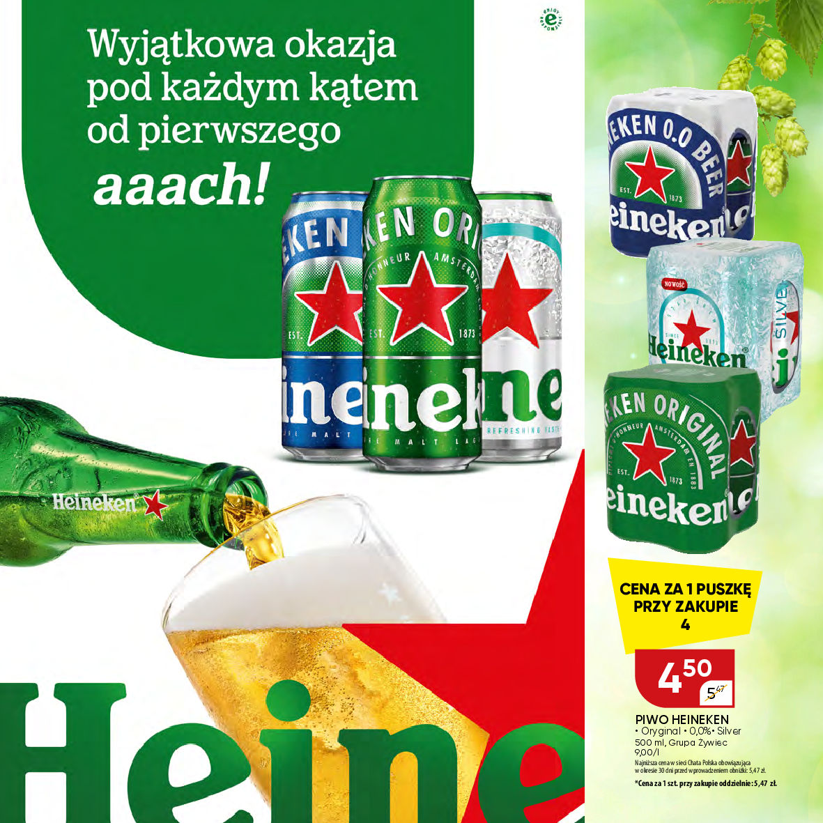 Chata Polska