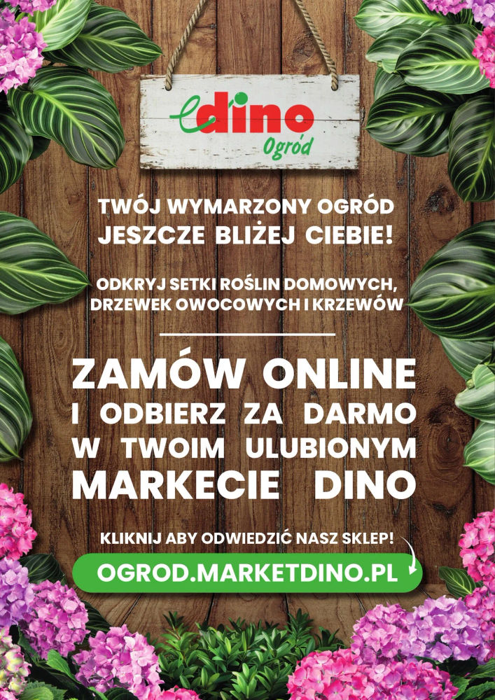 Dino