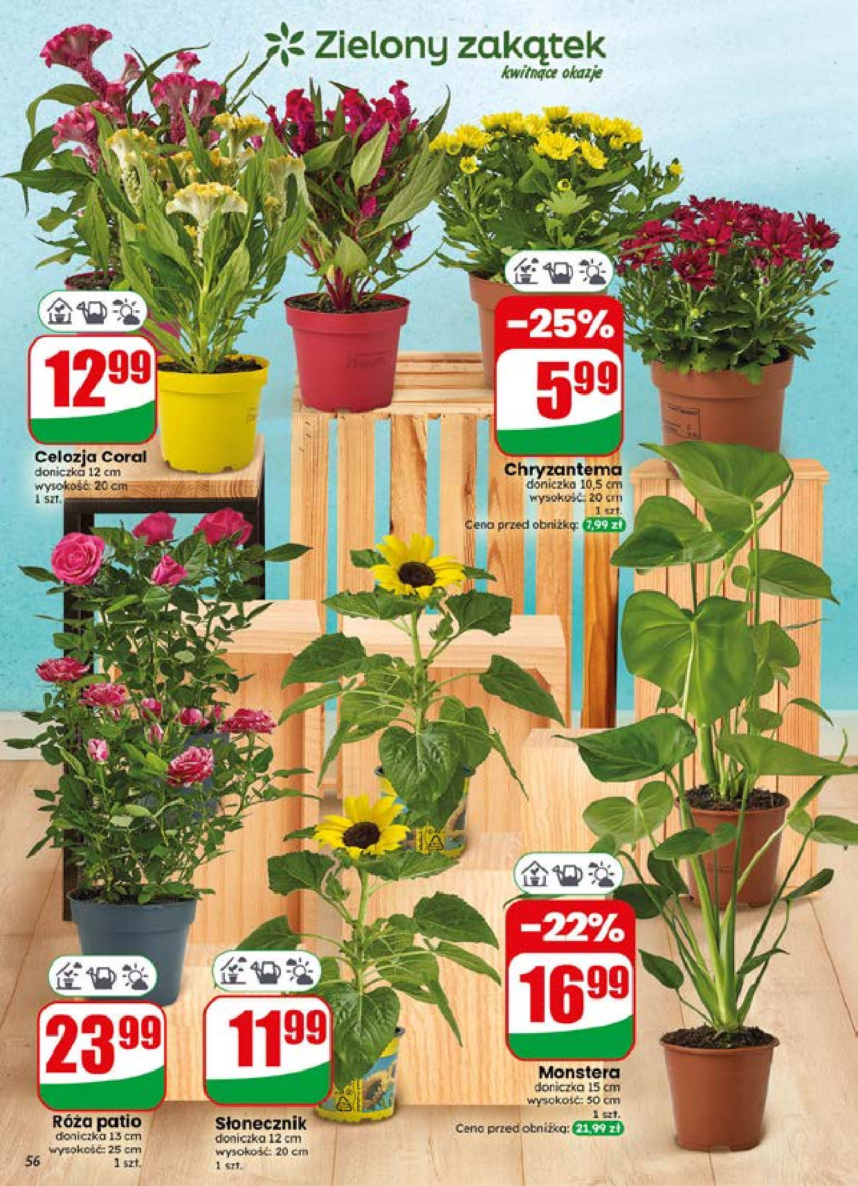 Dino