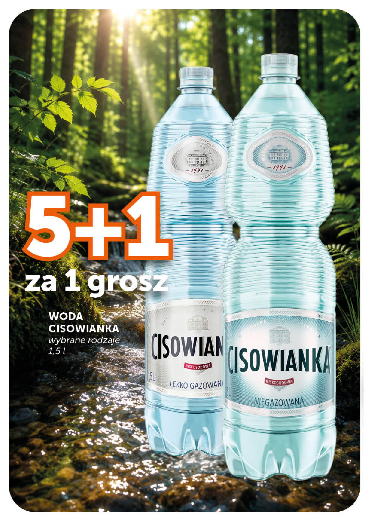 Groszek