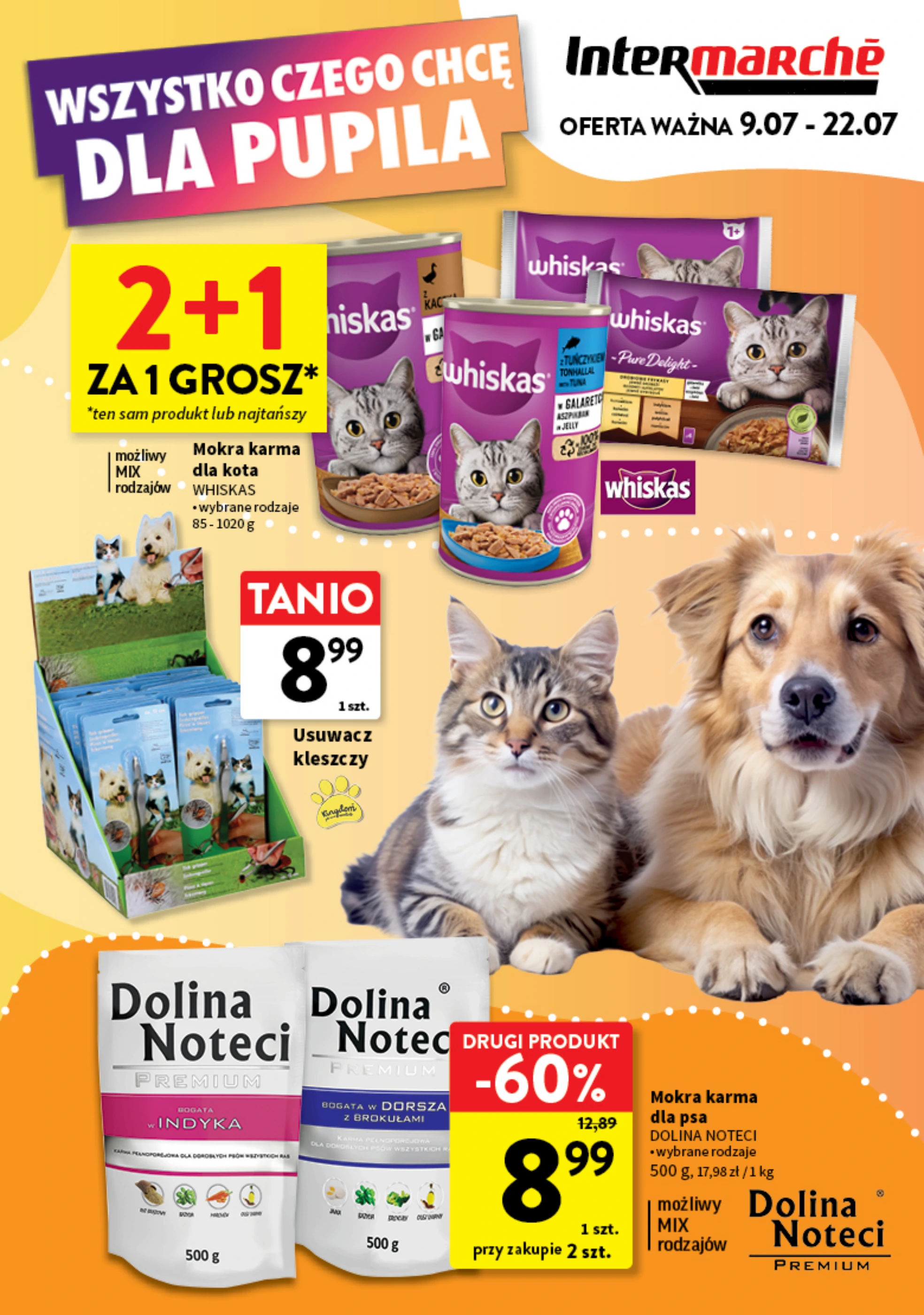 Wszystko czego chcę dla pupila!