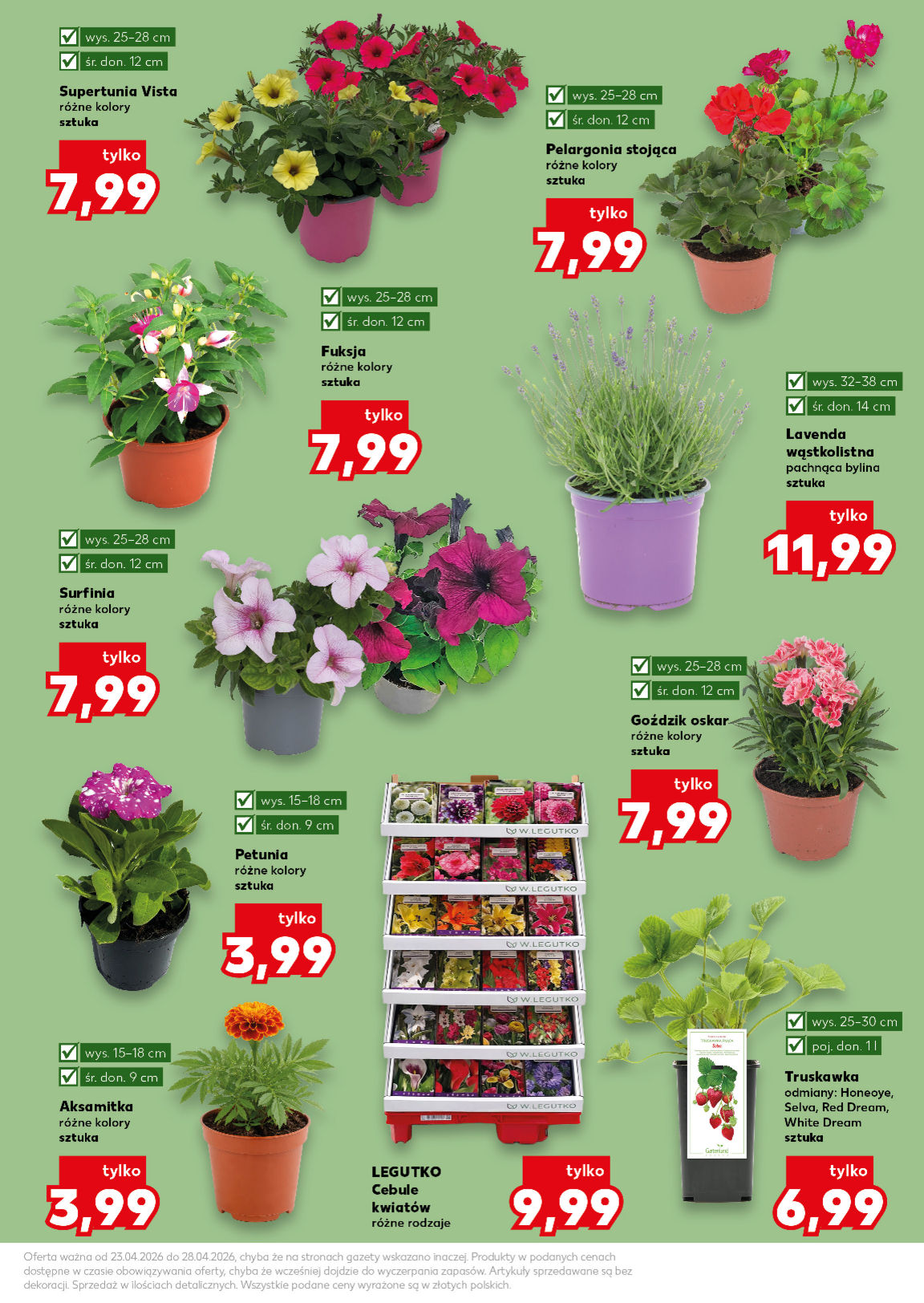 Kaufland