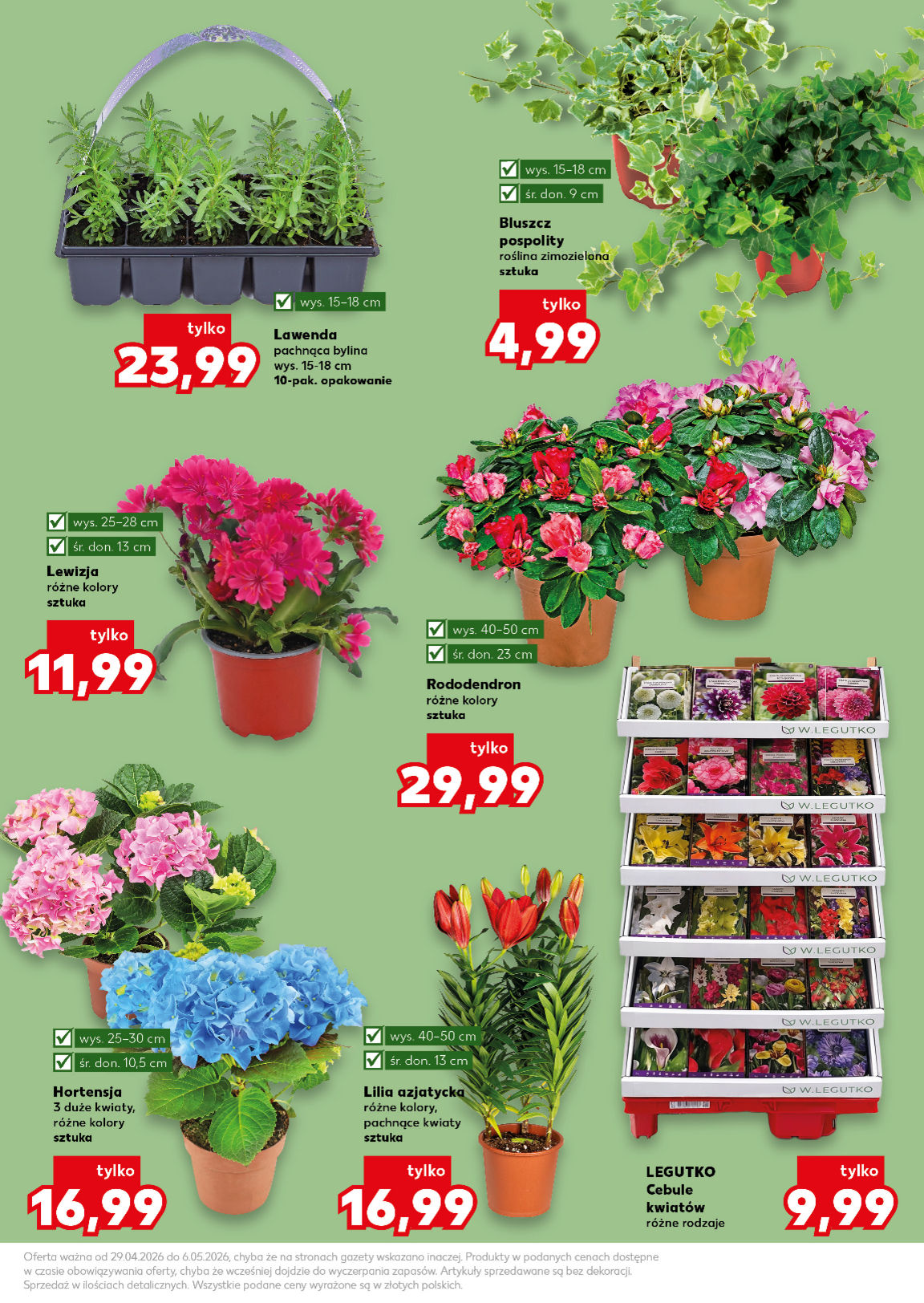 Kaufland