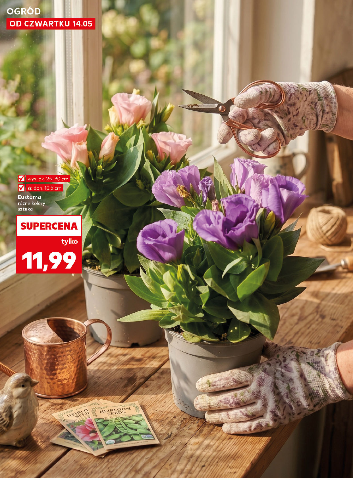 Kaufland