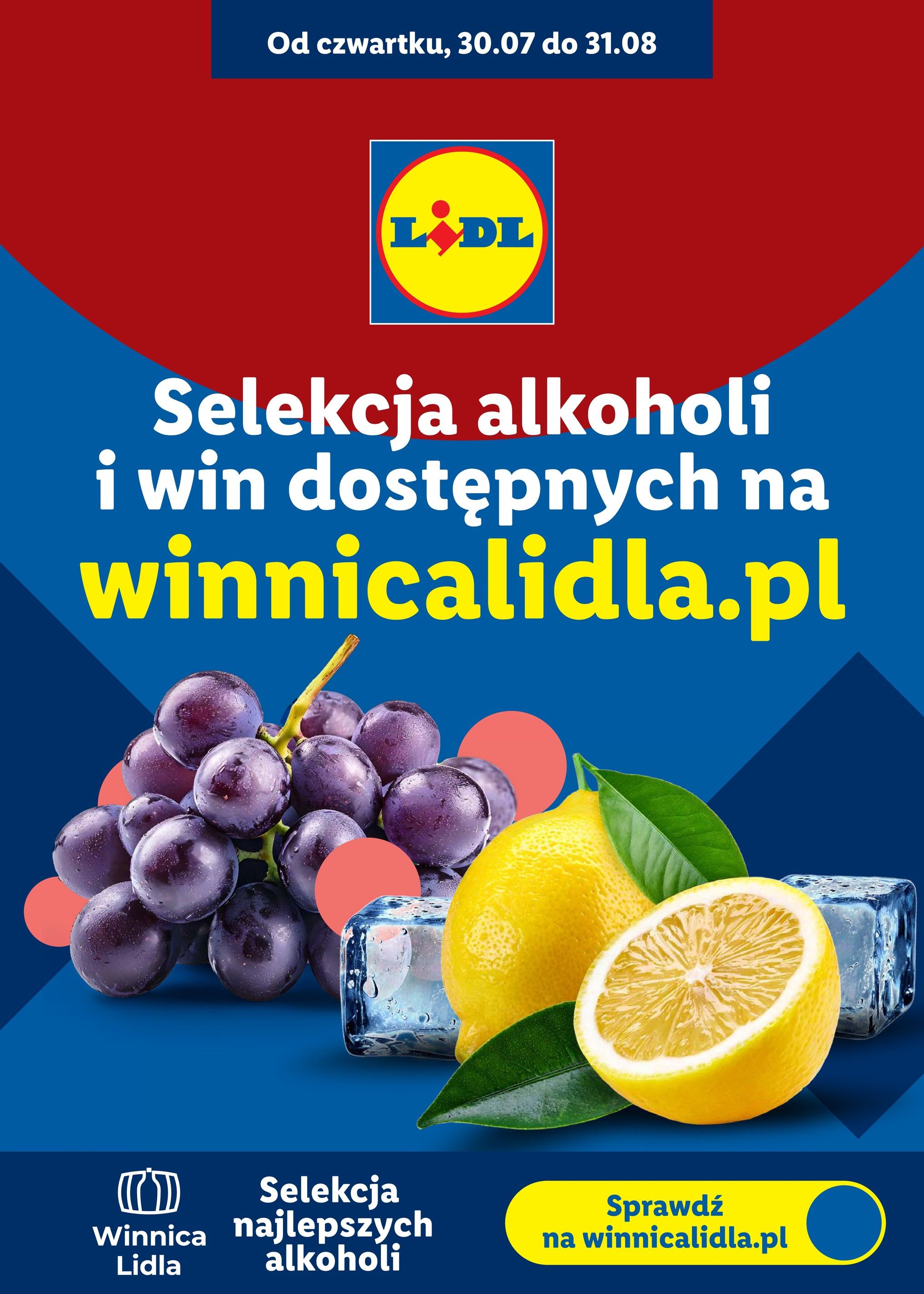 Winnica Lidla