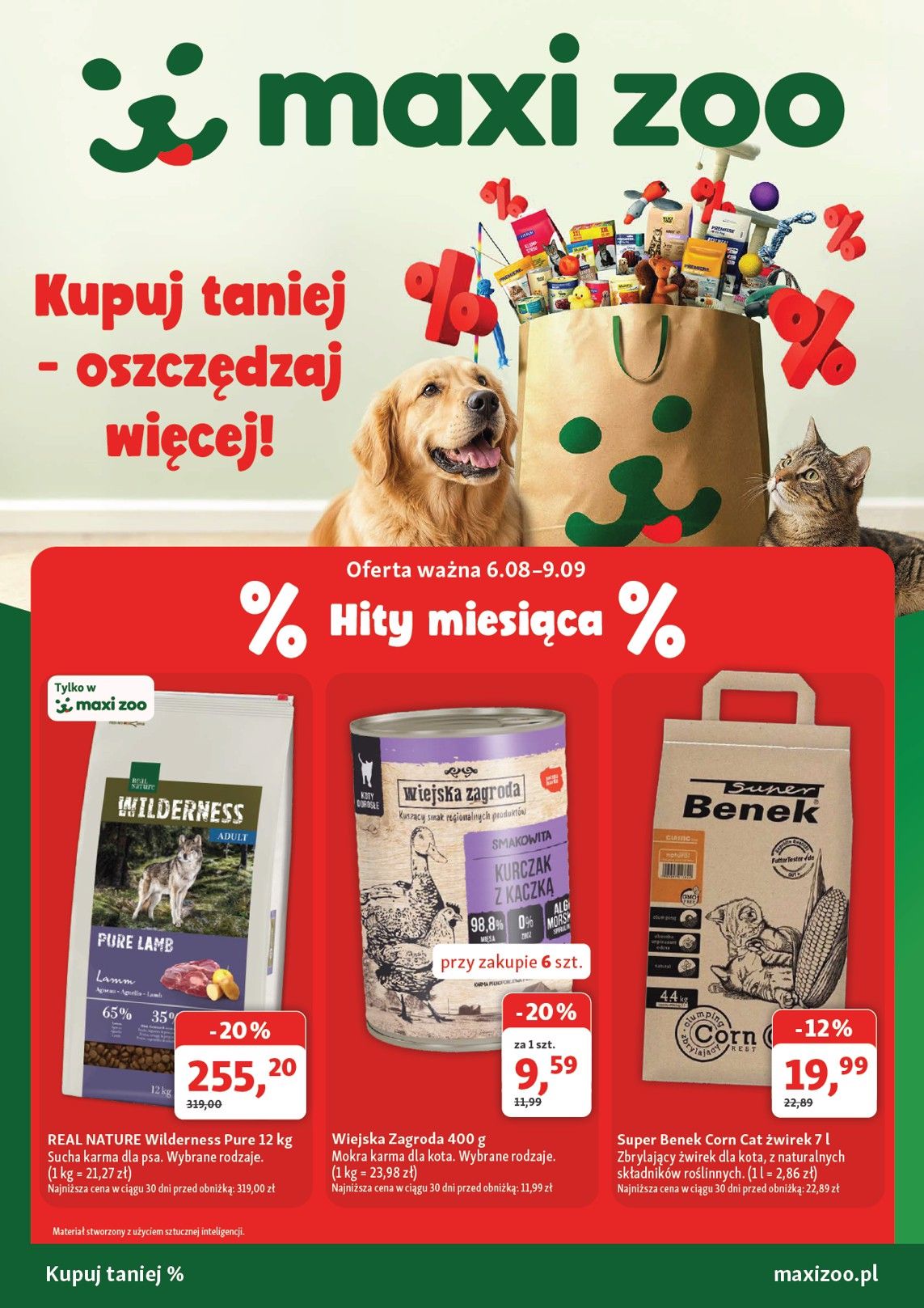 Hit Miesiąca