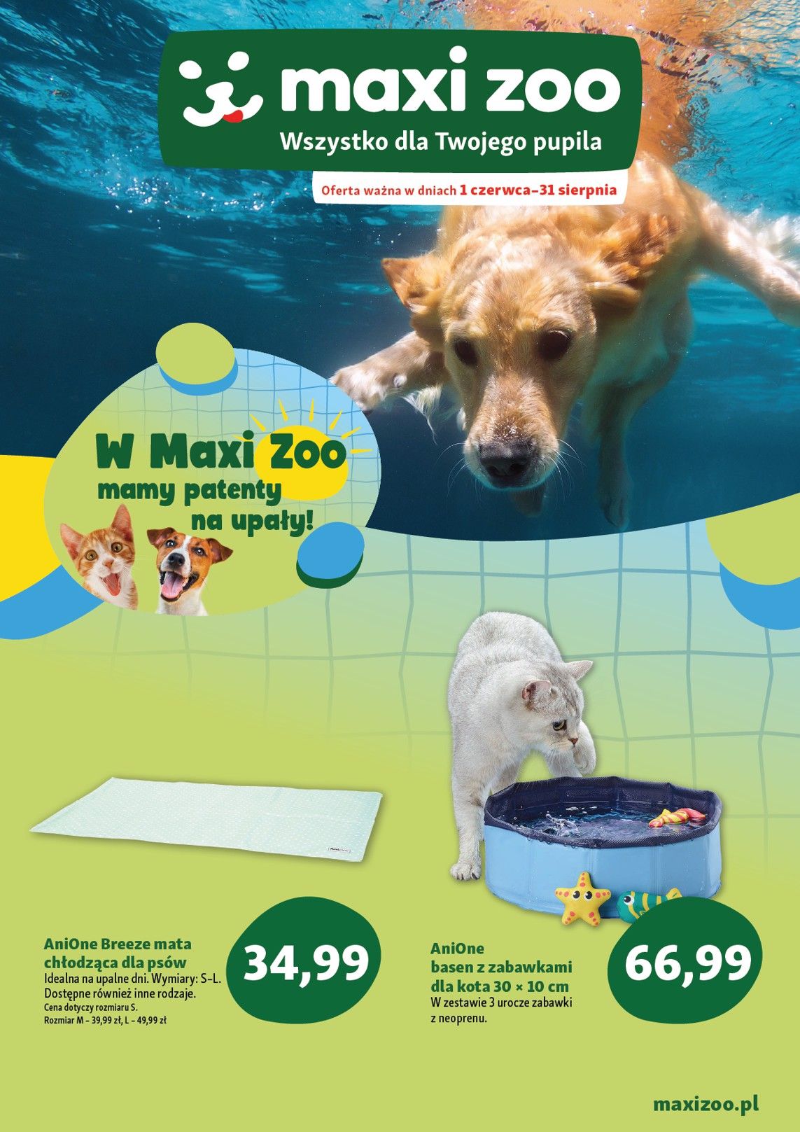 summer_2025