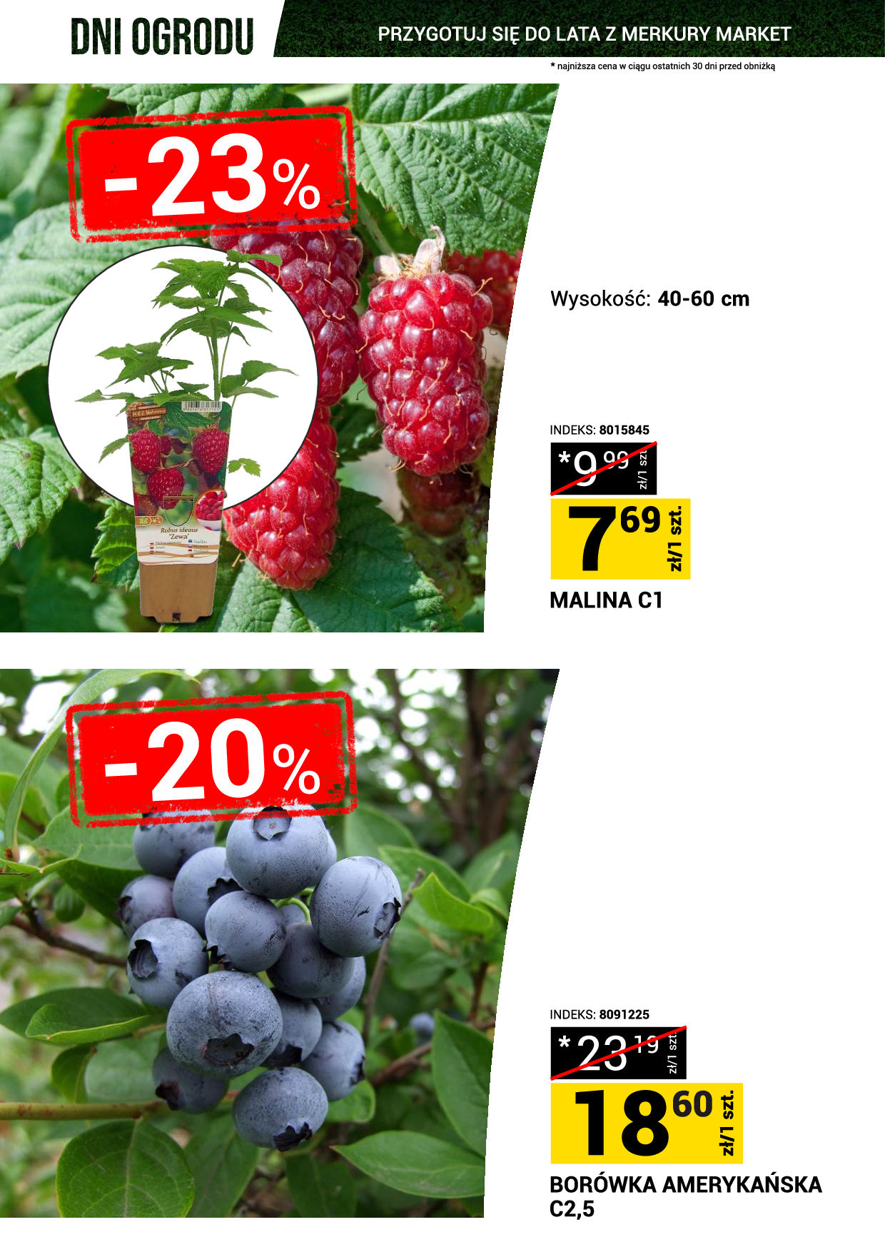 Merkury Market