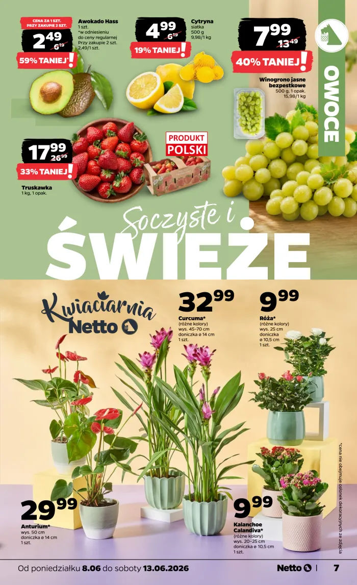 Netto