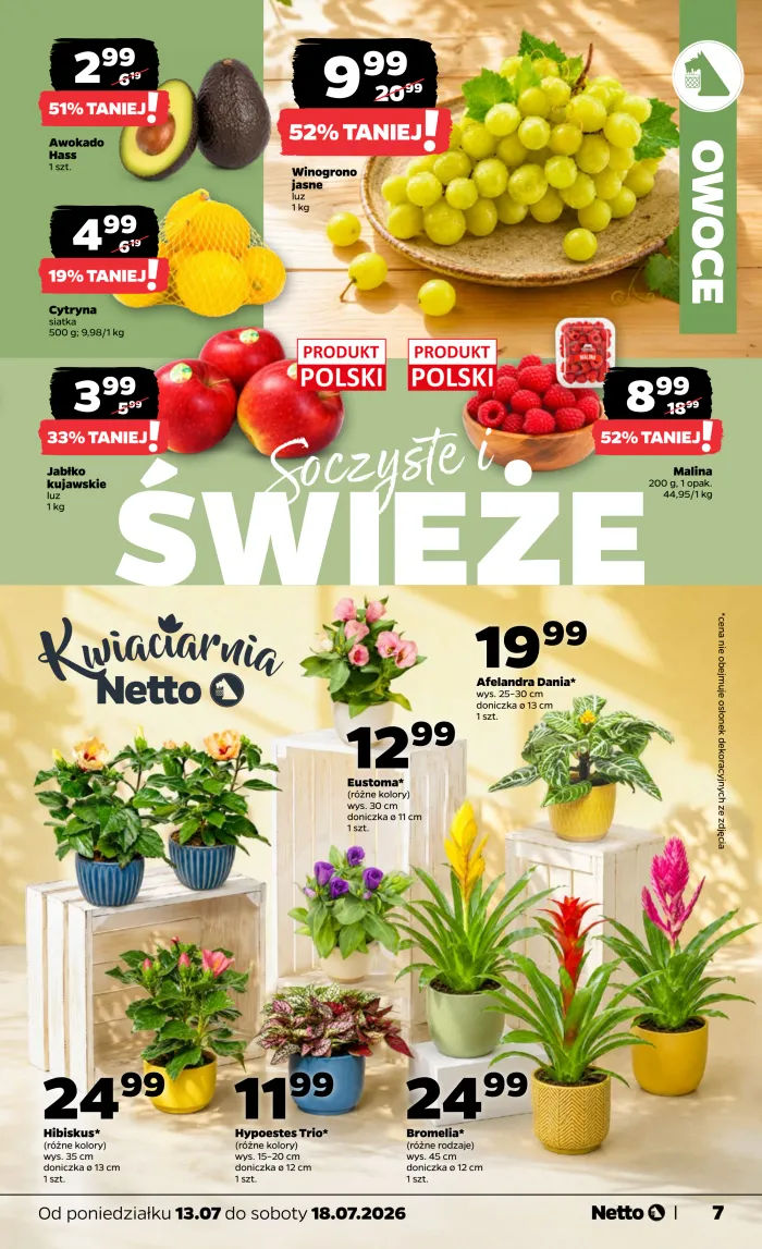 Netto