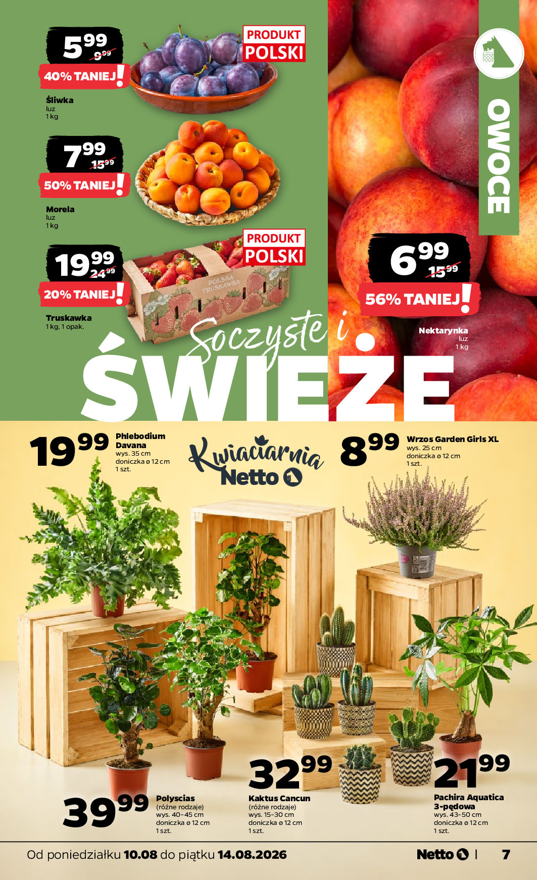 Netto