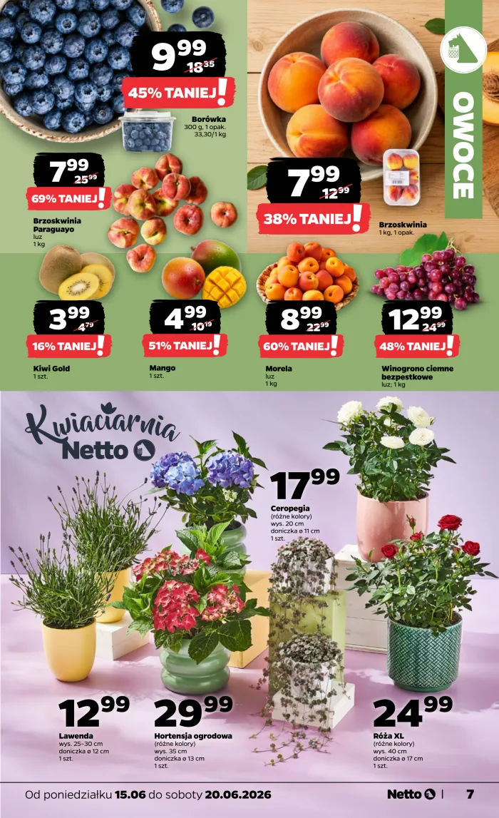 Netto